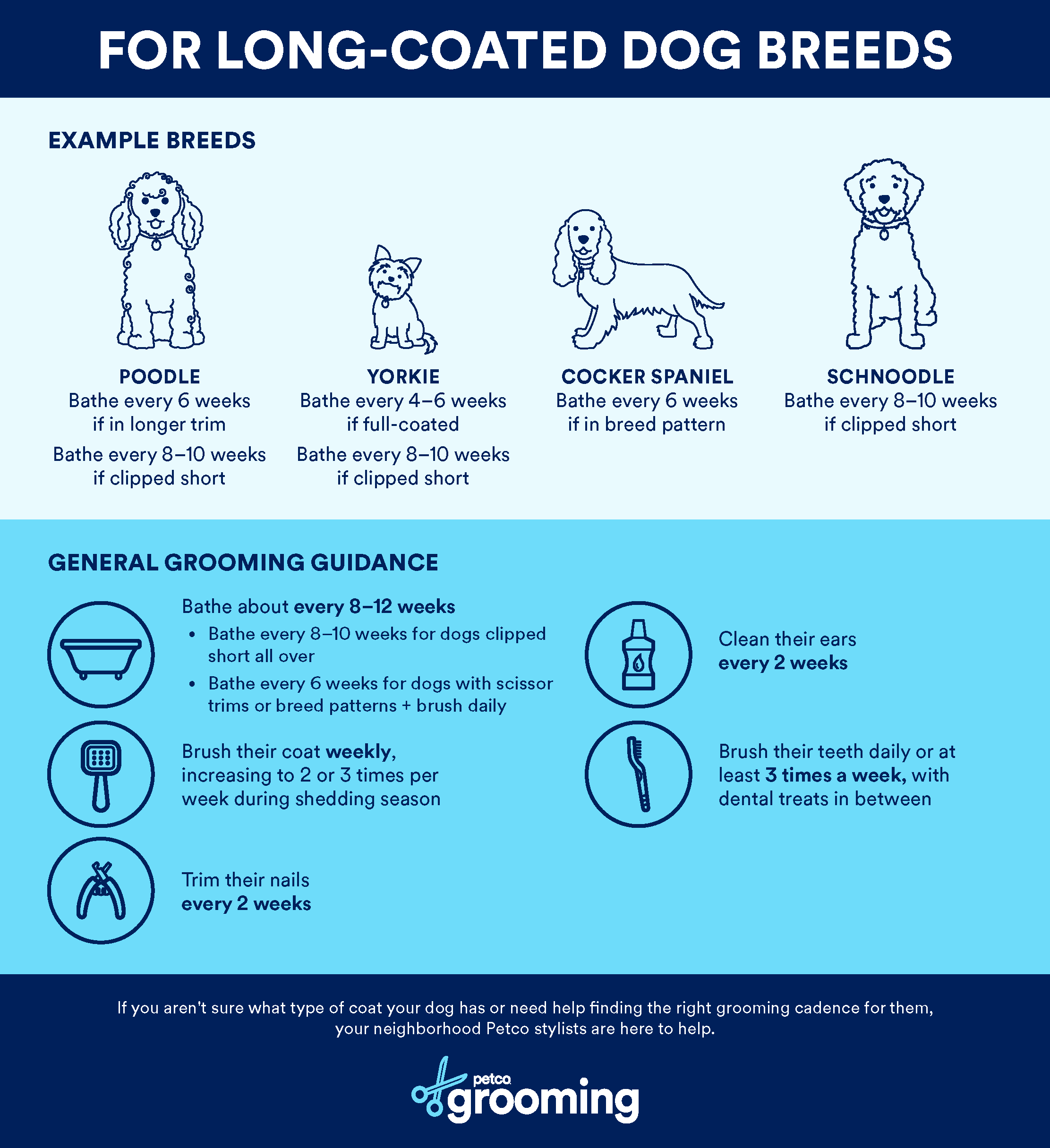 How often are 2024 dogs in season